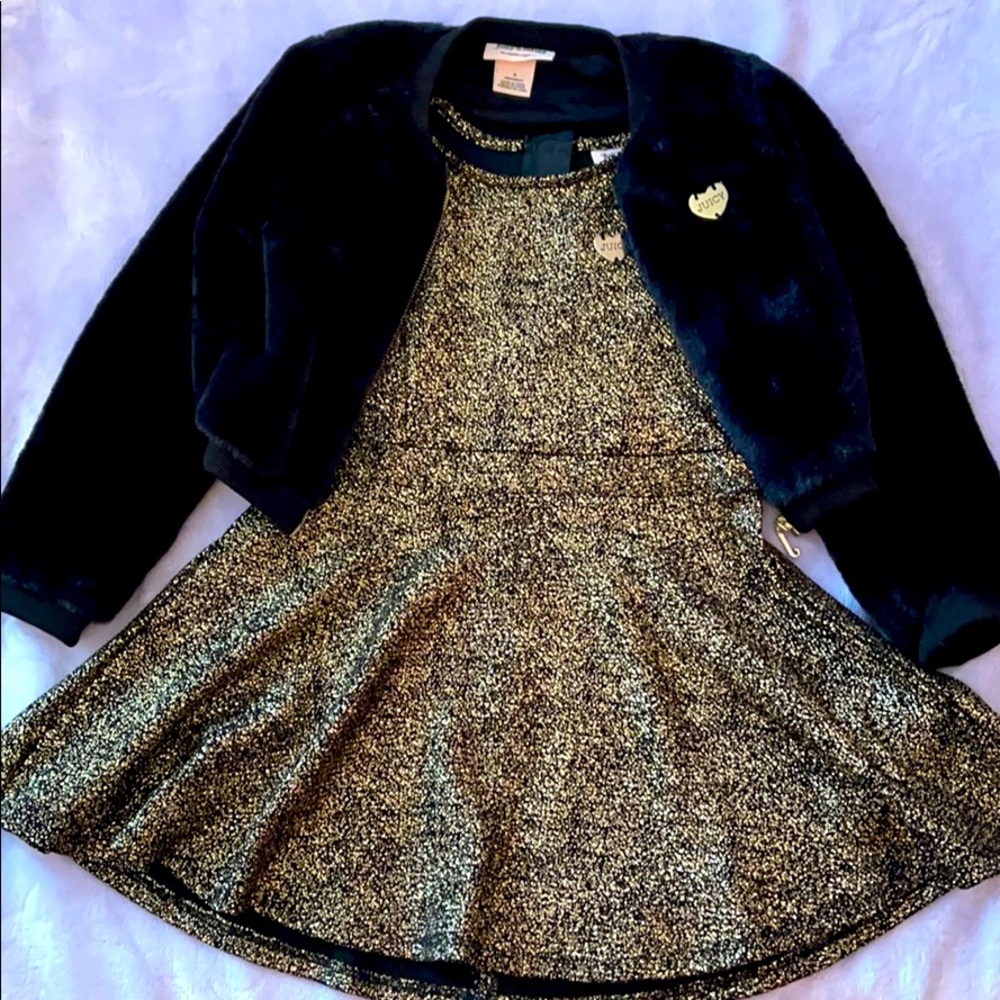 Girls Dress and Black fur Matching Jacket Set